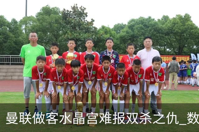 曼联做客水晶宫难报双杀之仇 数据示1-1战平